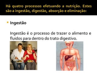    Ingestão
 
    Ingestão é o processo de trazer o alimento e
    fluidos para dentro do trato digestivo.
 