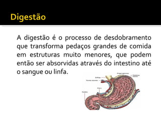 A digestão é o processo de desdobramento
que transforma pedaços grandes de comida
em estruturas muito menores, que podem
então ser absorvidas através do intestino até
o sangue ou linfa.
 