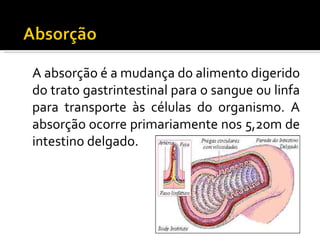 A absorção é a mudança do alimento digerido
do trato gastrintestinal para o sangue ou linfa
para transporte às células do organismo. A
absorção ocorre primariamente nos 5,20m de
intestino delgado.
 