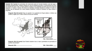 QUESTÃO 10 – PROVA OBA IV - 2018
 