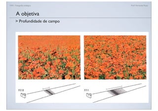 FAN - Fotograﬁa analógica Prof.a Fernanda Pozza
A objetiva
> Profundidade de campo
 