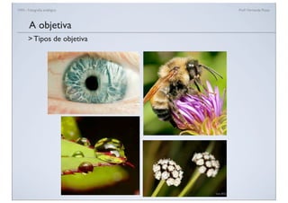 FAN - Fotograﬁa analógica Prof.a Fernanda Pozza
A objetiva
> Tipos de objetiva
 