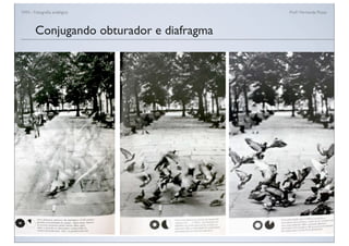 FAN - Fotograﬁa analógica Prof.a Fernanda Pozza
Conjugando obturador e diafragma
 