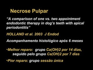 Necrose Pulpar “ A comparison of one vs. two appointment endodontic therapy in dog’s teeth with apical periodontitis”  HOLLAND et al. 2003  J Endod Acompanhamento histológico após 6 meses Melhor reparo:   grupo   Ca(OH)2 por 14 dias,   seguido pelo grupo   Ca(OH)2 por 7 dias Pior reparo:   grupo  sessão única 
