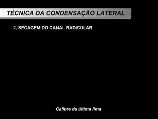 Calibre da última lima TÉCNICA DA CONDENSAÇÃO LATERAL 2.  SECAGEM DO CANAL RADICULAR   