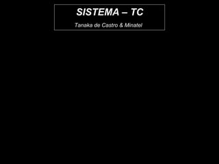 SISTEMA – TC Tanaka de Castro & Minatel   