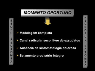 Modelagem completa Canal radicular seco, livre de exsudatos Ausência de sintomatologia dolorosa Selamento provisório íntegro B I O P U L P E C T O M I A N E C R O P U L P E C T O M I A MOMENTO OPORTUNO 