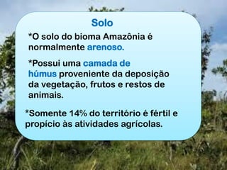 Solo
*O solo do bioma Amazônia é
normalmente arenoso.
*Possui uma camada de
húmus proveniente da deposição
da vegetação, frutos e restos de
animais.
*Somente 14% do território é fértil e
propício às atividades agrícolas.
 
