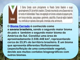 O Bioma Cerrado é conhecido como
a savana brasileira, sendo o segundo maior bioma
do país e também o segundo maior bioma da
América do Sul. Constitui uma área de
aproximadamente 2.036.448 km2, representando
cerca de 23,9% do território brasileiro. É um bioma
que apresenta diferentes fitofisionomias
(aspecto/feição de uma comunidade vegetal),
devido aos muitos contatos biogeográficos com
outros biomas.
 