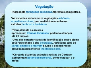 Vegetação
*Apresenta formações savânicas, florestais campestres.
*As espécies variam entre vegetações arbóreas,
arbustivas e cipós, que se distribuem entre os
estratos: lenhoso e herbáceo.
*Normalmente as árvores
apresentam troncos tortuosos, podendo alcançar
até 20 metros.
*Uma das características de identificação desse bioma
está relacionada à sua coloração. Apresenta tons de
verde, amarelo e marrom devido à descoloração
provocada pela intensa incidência solar.
*Cerca de duzentas espécies nativas do Cerrado
apresentam potencial medicinal, como o pacari e o
rufão.
 
