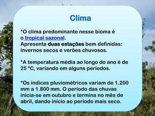 Clima
*O clima predominante nesse bioma é
o tropical sazonal.
Apresenta duas estações bem definidas:
invernos secos e verões chuvosos.
*A temperatura média ao longo do ano é de
25 ºC, variando em alguns períodos.
*Os índices pluviométricos variam de 1.200
mm a 1.800 mm. O período das chuvas
inicia-se em outubro e termina no mês de
abril, dando início ao período mais seco.
 