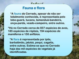 Fauna e flora
*A fauna do Cerrado, apesar de não ser
totalmente conhecida, é representada pelo
lobo-guará, tucano, tamanduá-bandeira,
onça-parda, veado-campeiro, entre outros.
*Há no Cerrado cerca de 837 espécies de aves,
185 espécies de répteis, 194 espécies de
mamíferos e 150 anfíbios.
*A flora é representada por ipês,
barbatimão, jatobá, pequi, cagaita,
entre outras. Estima-se que no Cerrado
haja dez mil espécies de vegetais já
identificadas.
 