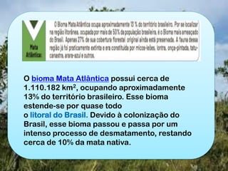 O bioma Mata Atlântica possui cerca de
1.110.182 km2, ocupando aproximadamente
13% do território brasileiro. Esse bioma
estende-se por quase todo
o litoral do Brasil. Devido à colonização do
Brasil, esse bioma passou e passa por um
intenso processo de desmatamento, restando
cerca de 10% da mata nativa.
 