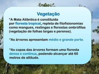 Vegetação
*A Mata Atlântica é constituída
por floresta tropical, repleta de fitofisionomias
como mangues, restingas e florestas ombrófilas
(vegetação de folhas largas e perenes).
*As árvores apresentam médio e grande porte.
*As copas das árvores formam uma floresta
densa e contínua, podendo alcançar até 60
metros de altitude.
 