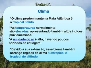 Clima
*O clima predominante na Mata Atlântica é
o tropical úmido.
*As temperaturas normalmente
são elevadas, apresentando também altos índices
pluviométricos.
*A umidade do ar é alta, havendo poucos
períodos de estiagem.
*Devido à sua extensão, esse bioma também
abrange regiões de clima subtropical e
tropical de altitude.
 