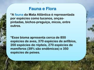 Fauna e Flora
*A fauna da Mata Atlântica é representada
por espécies como tucanos, onças-
pintadas, bichos-preguiça, micos, entre
outros.
*Esse bioma apresenta cerca de 850
espécies de aves, 370 espécies de anfíbios,
200 espécies de répteis, 270 espécies de
mamíferos (39% são endêmicas) e 350
espécies de peixes.
 