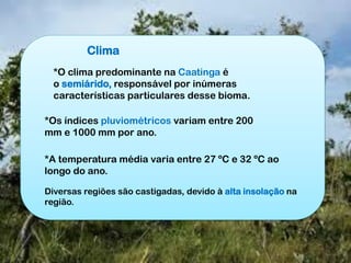 Clima
*O clima predominante na Caatinga é
o semiárido, responsável por inúmeras
características particulares desse bioma.
*Os índices pluviométricos variam entre 200
mm e 1000 mm por ano.
*A temperatura média varia entre 27 ºC e 32 ºC ao
longo do ano.
Diversas regiões são castigadas, devido à alta insolação na
região.
 