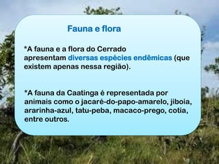 Fauna e flora
*A fauna e a flora do Cerrado
apresentam diversas espécies endêmicas (que
existem apenas nessa região).
*A fauna da Caatinga é representada por
animais como o jacaré-do-papo-amarelo, jiboia,
ararinha-azul, tatu-peba, macaco-prego, cotia,
entre outros.
 