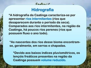 Hidrografia
*A hidrografia da Caatinga caracteriza-se por
apresentar rios intermitentes (rios que
desaparecem durante o período da seca).
Comparados aos rios intermitentes, na região da
Caatinga, há poucos rios perenes (rios que
possuem fluxo o ano todo).
*As nascentes dos rios desse bioma encontram-
se, geralmente, em serras e chapadas.
*Devido aos baixos índices pluviométricos, os
lençóis freáticos presentes na região da
Caatinga possuem volume reduzido.
 