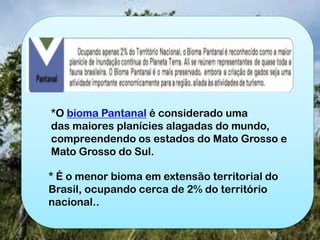 * É o menor bioma em extensão territorial do
Brasil, ocupando cerca de 2% do território
nacional..
*O bioma Pantanal é considerado uma
das maiores planícies alagadas do mundo,
compreendendo os estados do Mato Grosso e
Mato Grosso do Sul.
 