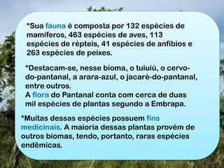 *Sua fauna é composta por 132 espécies de
mamíferos, 463 espécies de aves, 113
espécies de répteis, 41 espécies de anfíbios e
263 espécies de peixes.
*Destacam-se, nesse bioma, o tuiuiú, o cervo-
do-pantanal, a arara-azul, o jacaré-do-pantanal,
entre outros.
A flora do Pantanal conta com cerca de duas
mil espécies de plantas segundo a Embrapa.
*Muitas dessas espécies possuem fins
medicinais. A maioria dessas plantas provém de
outros biomas, tendo, portanto, raras espécies
endêmicas.
 