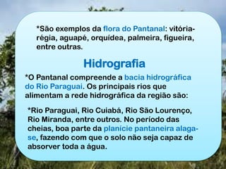*São exemplos da flora do Pantanal: vitória-
régia, aguapé, orquídea, palmeira, figueira,
entre outras.
Hidrografia
*O Pantanal compreende a bacia hidrográfica
do Rio Paraguai. Os principais rios que
alimentam a rede hidrográfica da região são:
*Rio Paraguai, Rio Cuiabá, Rio São Lourenço,
Rio Miranda, entre outros. No período das
cheias, boa parte da planície pantaneira alaga-
se, fazendo com que o solo não seja capaz de
absorver toda a água.
 