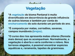 Vegetação
*A vegetação do bioma Pantanal é muito
diversificada em decorrência da grande influência
de outros biomas e também por conta do
encharcamento do solo durante um período do ano.
*É composta por matas, cerradões, savanas,
campos inundáveis (brejos).
*O curso dos rios apresenta matas ciliares (floresta
mais densa) que os acompanham. Normalmente, a
vegetação é aberta e varia conforme o relevo. Nos
terrenos alagados, é possível encontrar espécies
aquáticas e, raramente, tapetes de gramíneas.
 