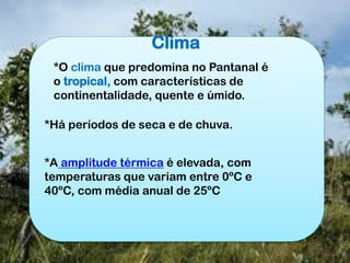 Clima
*O clima que predomina no Pantanal é
o tropical, com características de
continentalidade, quente e úmido.
*Há períodos de seca e de chuva.
*A amplitude térmica é elevada, com
temperaturas que variam entre 0ºC e
40ºC, com média anual de 25ºC
 