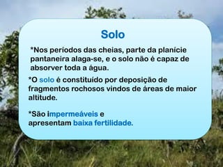 Solo
*Nos períodos das cheias, parte da planície
pantaneira alaga-se, e o solo não é capaz de
absorver toda a água.
*O solo é constituído por deposição de
fragmentos rochosos vindos de áreas de maior
altitude.
*São impermeáveis e
apresentam baixa fertilidade.
 