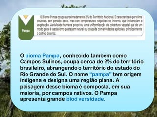 O bioma Pampa, conhecido também como
Campos Sulinos, ocupa cerca de 2% do território
brasileiro, abrangendo o território do estado do
Rio Grande do Sul. O nome “pampa” tem origem
indígena e designa uma região plana. A
paisagem desse bioma é composta, em sua
maioria, por campos nativos. O Pampa
apresenta grande biodiversidade.
 