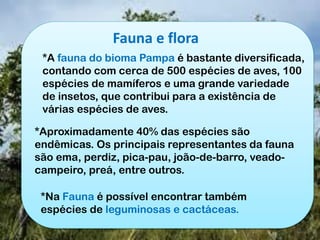 Fauna e flora
*A fauna do bioma Pampa é bastante diversificada,
contando com cerca de 500 espécies de aves, 100
espécies de mamíferos e uma grande variedade
de insetos, que contribui para a existência de
várias espécies de aves.
*Aproximadamente 40% das espécies são
endêmicas. Os principais representantes da fauna
são ema, perdiz, pica-pau, joão-de-barro, veado-
campeiro, preá, entre outros.
*Na Fauna é possível encontrar também
espécies de leguminosas e cactáceas.
 