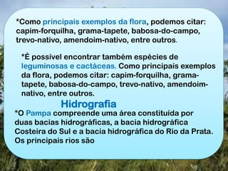 Hidrografia
*O Pampa compreende uma área constituída por
duas bacias hidrográficas, a bacia hidrográfica
Costeira do Sul e a bacia hidrográfica do Rio da Prata.
Os principais rios são
*É possível encontrar também espécies de
leguminosas e cactáceas. Como principais exemplos
da flora, podemos citar: capim-forquilha, grama-
tapete, babosa-do-campo, trevo-nativo, amendoim-
nativo, entre outros.
*Como principais exemplos da flora, podemos citar:
capim-forquilha, grama-tapete, babosa-do-campo,
trevo-nativo, amendoim-nativo, entre outros.
 