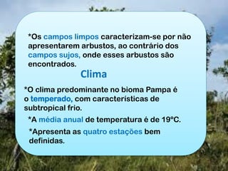 Clima
*O clima predominante no bioma Pampa é
o temperado, com características de
subtropical frio.
*A média anual de temperatura é de 19ºC.
*Apresenta as quatro estações bem
definidas.
*Os campos limpos caracterizam-se por não
apresentarem arbustos, ao contrário dos
campos sujos, onde esses arbustos são
encontrados.
 