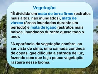 Vegetação
*É dividida em mata de terra firme (estratos
mais altos, não inundados), mata de
várzea (áreas inundadas durante um
período) e mata de igapó (estratos mais
baixos, inundados durante quase todo o
ano).
*A aparência da vegetação confere, ao
ser vista de cima, uma camada contínua
de copas, que dificulta a entrada de luz,
fazendo com que haja pouca vegetação
rasteira nesse bioma.
 