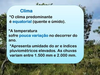 Clima
*O clima predominante
é equatorial (quente e úmido).
*A temperatura
sofre pouca variação no decorrer do
ano.
*Apresenta umidade do ar e índices
pluviométricos elevados. As chuvas
variam entre 1.500 mm e 2.000 mm.
 