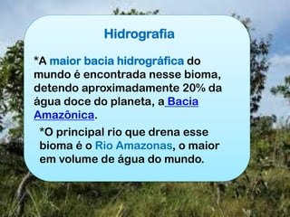 Hidrografia
*A maior bacia hidrográfica do
mundo é encontrada nesse bioma,
detendo aproximadamente 20% da
água doce do planeta, a Bacia
Amazônica.
*O principal rio que drena esse
bioma é o Rio Amazonas, o maior
em volume de água do mundo.
 