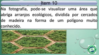 Na fotografia, pode-se visualizar uma área que
abriga arranjos ecológicos, dividida por cercados
de madeira na forma de um polígono muito
conhecido.
Item 10
 