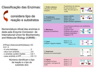 1. Óxido-redutases 
( Reações de óxido-redução). 
Transferência de elétrons 
Se uma molécula se 
reduz, há outra que se 
oxida. 
2. Transferases 
(Transferência de grupos 
funcionais) 
•grupos aldeído 
•gupos acila 
•grupos glucosil 
•grupos fosfatos (quinases) 
3. Hidrolases 
(Reações de hidrólise) 
•Transformam polímeros em monômeros. 
Atuam sobre: 
•Ligações éster 
•Ligações glicosídicas 
•Ligações peptídicas 
•Ligações C-N 
4. Liases 
(Adição a ligações duplas) 
•Entre C e C 
•Entre C e O 
•Entre C e N 
5. Isomerases 
(Reações de isomerização) 
6. Ligases 
(Formação de laços 
covalentes com gasto de 
ATP) 
•Entre C e O 
•Entre C e S 
•Entre C e N 
•Entre C e C 
Classificação das Enzimas: 
considera tipo de 
reação e substratos 
Nomenclatura oficial das enzimas é 
dada pela Enzyme Comission da 
International Union for Biochemistry 
and Molecular Biology (IUBMB) : 
ATPase (Adenosinatrifosfatase): EC 
3.6.1.3 
- é uma hidrolase.........................3 
- atua num anidrido......................3.6 
- o anidrido contém fosfato..........3.6.1 
- esse anidrido é ATP..................3.6.1.3 
Números identificam o tipo 
de reação e o tipo de 
substrato alvo 
 