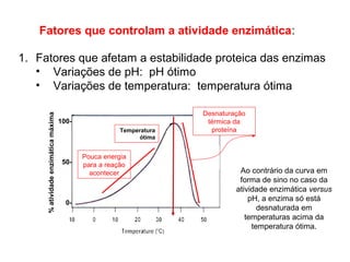Fatores que controlam a atividade enzimática: 
1. Fatores que afetam a estabilidade proteica das enzimas 
• Variações de pH: pH ótimo 
• Variações de temperatura: temperatura ótima 
100- 
50- 
0- 
% atividade enzimática máxima 
Temperatura 
ótima 
Desnaturação 
térmica da 
proteína 
Pouca energia 
para a reação 
acontecer Ao contrário da curva em 
forma de sino no caso da 
atividade enzimática versus 
pH, a enzima só está 
desnaturada em 
temperaturas acima da 
temperatura ótima. 
 