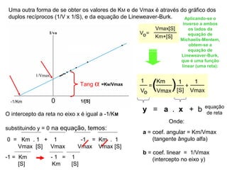 Uma outra forma de se obter os valores de KM e de Vmax é através do gráfico dos 
duplos recíprocos (1/V x 1/S), e da equação de Lineweaver-Burk. 
Aplicando-se o 
inverso a ambos 
os lados da 
equação de 
Michaelis-Mentem, 
obtem-se a 
equação de 
Lineweaver-Burk, 
que é uma função 
linear (uma reta): 
y = a . x + b equação 
de reta 
Tang a 
O intercepto da reta no eixo x é igual a -1/KM 
substituindo y = 0 na equação, temos: 
0 = Km . 1 + 1 -1 = Km . 1 
Vmax [S] Vmax Vmax Vmax [S] 
-1 = Km - 1 = 1 
[S] Km [S] 
=KM/Vmax 
Onde: 
a = coef. angular = Km/Vmax 
(tangente ângulo alfa) 
b = coef. linear = 1/Vmax 
(intercepto no eixo y) 
 
