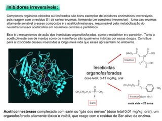 Inibidores irreversíveis: 
Compostos orgânicos clorados ou fosforados são bons exemplos de inibidores enzimáticos irreversíveis, 
pois reagem com o resíduo S1 de serino-enzimas, formando um complexo irreversível. Uma das enzimas 
altamente sensível a esses compostos é a acetilcolinesterase, responsável pela metabolização do 
neurotransmissor acetilcolina em neurônios centrais e periféricos. 
Este é o mecanismos de ação dos inseticidas organofosforados, como o malathion e o parathion. Tanto a 
acetilcolinesterase de insetos como de mamíferos são igualmente inibidas por essas drogas. Contribue 
para a toxicidade desses inseticidas a longa meia vida que esses apresentam no ambiente. 
Inseticidas 
organofosforados 
dose letal: 3-13 mg/Kg, oral 
meia vida – 23 anos 
Acetilcolinesterase complexada com sarin ou “gás dos nervos” (dose letal 0,01 mg/kg, oral), um 
organofosforado altamente tóxico e volátil, que reage com o resíduo de Ser ativo da enzima. 
 