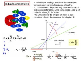 Inibição competitiva • o inibidor é análogo estrutural do substrato e 
S 
E 
I 
compete com ele pela ligação ao sítio ativo 
• com aumento da [substrato], ocorre diminue da 
inibição caracterizando uma competição entre S e I 
• não há alteração da Vmax 
• há um aumento de Km por um fator a, que 
permite o cálculo da constante de inibição, Ki 
I 
S 
I 
S 
P 
S 
S 
S 
S 
S 
SS 
 