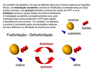 Ao contrário da alosteria, em que os efetores ligam-se à enzima apenas por ligações 
fracas, na modulação covalente a enzima é modificada covalentemente por duas 
outras enzimas: uma quinase fosforila a enzima às custas de ATP, e uma 
fosfatase remove o grupo fosfato da enzima fosforilada. 
A modulação covalente é energéticamente cara, pois 
necessita duas outras proteínas e ATP para regular 
a atividade de uma enzima. Ao contrário, na alosteria 
a enzima é controlada pelas concentrações relativas 
de seus efetores e a afinidade da enzima por estes. 
Fosforilação - Defosforilação 
fosfatase 
inativa ativa 
quinase 
enzima 
fosfato 
substrato 
 