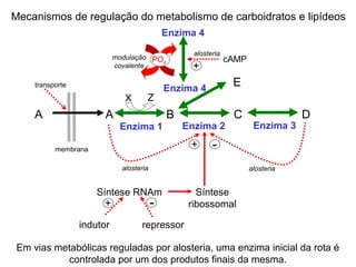 Mecanismos de regulação do metabolismo de carboidratos e lipídeos 
transporte 
Enzima 4 
+ cAMP alosteria 
PO4 
A A B C D 
Enzima 1 Enzima 2 Enzima 3 
+ - 
alosteria alosteria 
membrana 
X Z 
Enzima 4 E 
modulação 
covalente 
Síntese 
ribossomal 
Síntese RNAm 
+ - 
indutor repressor 
Em vias metabólicas reguladas por alosteria, uma enzima inicial da rota é 
controlada por um dos produtos finais da mesma. 
 