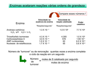 Enzimas acelaram reações várias ordens de grandeza 
Enzima 
Velocidade na 
ausência de enzima 
“Reações/segundo” 
Compare esses números ! 
Velocidade da 
reação catalisada 
“Reações/segundo” 
Poder 
catalítico 
Anidrase carbônica 
H2O2 H2O + ½ O2 
Triosefosfato isomerase 
Carboxipeptidase A 
AMP nucleosidase 
Nuclease de estafilococos 
1.3 X 10 –1 
4.3 X 10 –6 
3.0 X 10 –9 
1.0 X 10 –11 
1.7 X 10 -13 
1.0 X 106 
4.300 
578 
60 
95 
7.7 X 106 
1.0 X 109 
1.9X 1011 
6.0 X 1012 
5.6 X 1014 
Número de “turnover” ou de renovação: quantas vezes a enzima completa 
o ciclo da reação em um segundo 
moles de S catalisado por segundo 
moles de enzima 
Número 
de 
turnover 
= 
 