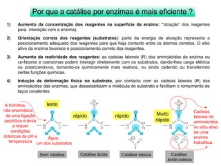 Por que a catálise por enzimas é mais eficiente ? 
1) Aumento da concentração dos reagentes na superfície da enzima: “atração” dos reagentes 
para interação com a enzima). 
2) Orientação correta dos reagentes (substratos): parte da energia de ativação representa o 
posicionamento adequado dos reagentes para que haja contacto entre os átomos corretos. O sitio 
ativo da enzima favorece o posicionamento correto dos reagentes. 
3) Aumento da reatividade dos reagentes: as cadeias laterais (R) dos aminoácidos da enzima ou 
co-fatores e coenzimas podem interagir diretamente com os substratos, dando-lhes carga elétrica 
ou polarizando-os, tornando-os quimicamente mais reativos, ou ainda cedendo ou transferindo 
certas funções químicas. 
4) Indução de deformação física no substrato, por contacto com as cadeias laterais (R) dos 
aminoácidos das enzimas, que desestabilizam a molécula do substrato e facilitam o rompimento de 
laços covalentes 
lento rápido rápido Muito 
rápido 
Sem catálise Catálise ácida Catálise básica Catálise 
ácido-básica 
lento 
Cadeias 
laterais de 
aminoácidos 
no sítio ativo 
de uma 
enzima 
hidrolítica 
Água, 
um dos substratos 
A hidrólise 
não enzimática 
de uma ligação 
peptídica é lenta 
e requer 
condições 
drásticas de pH e 
temperatura 
 