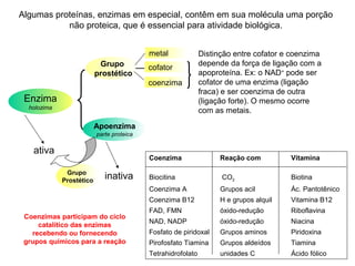 Algumas proteínas, enzimas em especial, contêm em sua molécula uma porção 
Enzima 
holozima 
não proteica, que é essencial para atividade biológica. 
Grupo 
prostético 
Apoenzima 
parte proteica 
metal 
cofator 
coenzima 
Distinção entre cofator e coenzima 
depende da força de ligação com a 
apoproteína. Ex: o NAD+ pode ser 
cofator de uma enzima (ligação 
fraca) e ser coenzima de outra 
(ligação forte). O mesmo ocorre 
com as metais. 
Coenzima Reação com Vitamina 
Biocitina CO2 Biotina 
Coenzima A Grupos acil Ác. Pantotênico 
Coenzima B12 H e grupos alquil Vitamina B12 
FAD, FMN óxido-redução Riboflavina 
NAD, NADP óxido-redução Niacina 
Fosfato de piridoxal Grupos aminos Piridoxina 
Pirofosfato Tiamina Grupos aldeídos Tiamina 
Tetrahidrofolato unidades C Ácido fólico 
ativa 
Grupo inativa 
Prostético 
Coenzimas participam do ciclo 
catalítico das enzimas 
recebendo ou fornecendo 
grupos químicos para a reação 
 