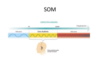 SOM

 