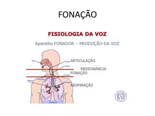 FONAÇÃO

 
