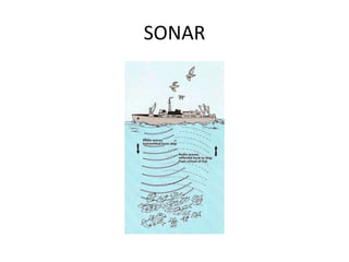 SONAR

 